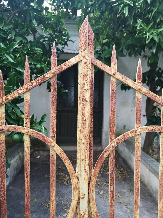 Hotel Casa Segota Veli Iž Zewnętrze zdjęcie